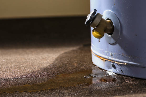  Folsom, NJ Water damage restoration Pros