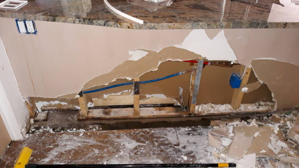 Best Water damage restoration specialists  in Folsom, NJ