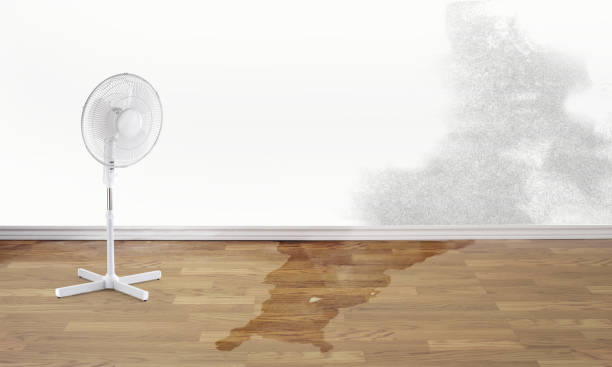 Best Water damage restoration insurance claims  in Folsom, NJ