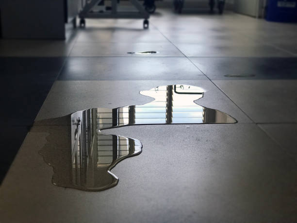 Best Local water damage restoration  in Folsom, NJ