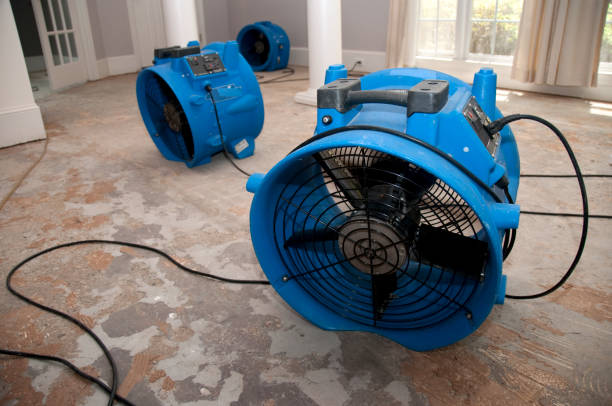Best Water damage cleanup near me  in Folsom, NJ