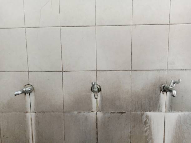  Folsom, NJ Water damage restoration Pros