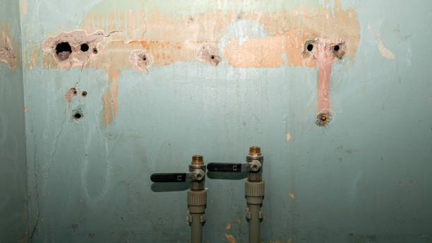 Water damage restoration insurance claims in NJ