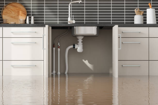 Best Carpet water damage restoration  in Folsom, NJ