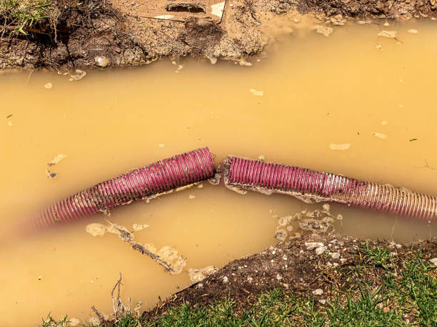 Best Carpet water damage restoration  in Folsom, NJ