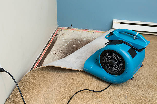 Best Fire Damage Restoration  in Folsom, NJ